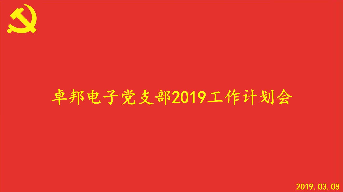 草莓视频在线观看网站电子党支部2019工作计划会顺利召开
