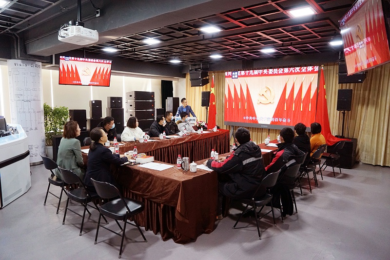 ZOBO草莓视频在线观看网站党支部丨开展“学习贯彻党的十九届六中全会精神”主题党日活动