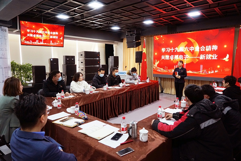 ZOBO草莓视频在线观看网站党支部丨开展“学习贯彻党的十九届六中全会精神”主题党日活动