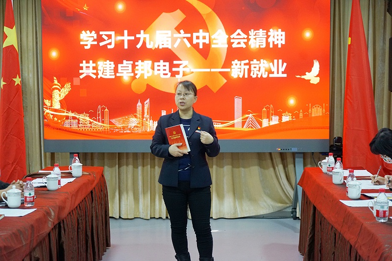 ZOBO草莓视频在线观看网站党支部丨开展“学习贯彻党的十九届六中全会精神”主题党日活动