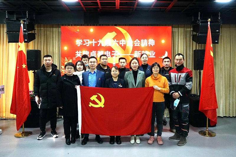 ZOBO草莓视频在线观看网站党支部开展“学习贯彻党的十九届六中全会精神”主题党日活动