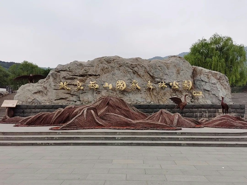 “缅怀先烈 传承初心”—ZOBO草莓视频在线观看网站党支部参观无名英雄纪念碑活动